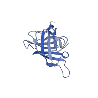 26621_7und_H_v1-0
Pol II-DSIF-SPT6-PAF1c-TFIIS-nucleosome complex (stalled at +38)