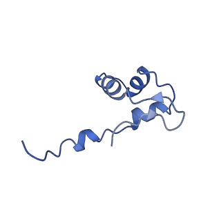 26621_7und_J_v1-0
Pol II-DSIF-SPT6-PAF1c-TFIIS-nucleosome complex (stalled at +38)