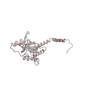 26621_7und_R_v1-0
Pol II-DSIF-SPT6-PAF1c-TFIIS-nucleosome complex (stalled at +38)