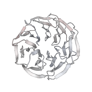 26621_7und_W_v1-0
Pol II-DSIF-SPT6-PAF1c-TFIIS-nucleosome complex (stalled at +38)