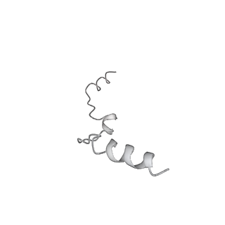 26621_7und_X_v1-0
Pol II-DSIF-SPT6-PAF1c-TFIIS-nucleosome complex (stalled at +38)
