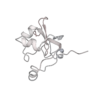 26621_7und_Y_v1-0
Pol II-DSIF-SPT6-PAF1c-TFIIS-nucleosome complex (stalled at +38)