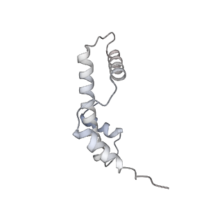 26621_7und_a_v1-0
Pol II-DSIF-SPT6-PAF1c-TFIIS-nucleosome complex (stalled at +38)