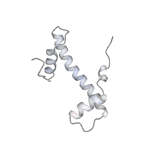 26621_7und_b_v1-0
Pol II-DSIF-SPT6-PAF1c-TFIIS-nucleosome complex (stalled at +38)