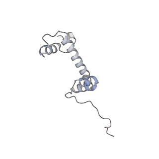 26621_7und_c_v1-0
Pol II-DSIF-SPT6-PAF1c-TFIIS-nucleosome complex (stalled at +38)