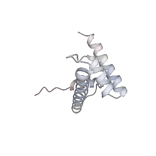 26621_7und_d_v1-0
Pol II-DSIF-SPT6-PAF1c-TFIIS-nucleosome complex (stalled at +38)