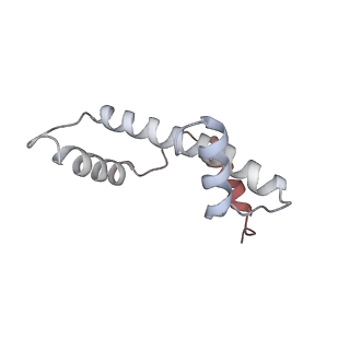26621_7und_e_v1-0
Pol II-DSIF-SPT6-PAF1c-TFIIS-nucleosome complex (stalled at +38)