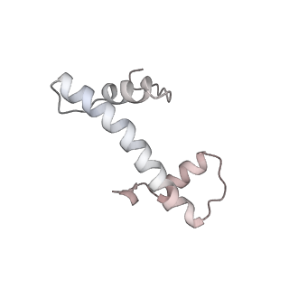 26621_7und_f_v1-0
Pol II-DSIF-SPT6-PAF1c-TFIIS-nucleosome complex (stalled at +38)
