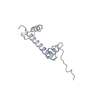 26621_7und_g_v1-0
Pol II-DSIF-SPT6-PAF1c-TFIIS-nucleosome complex (stalled at +38)