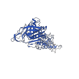 26622_7une_L_v1-1
The V1 region of bovine V-ATPase in complex with human mEAK7 (focused refinement)