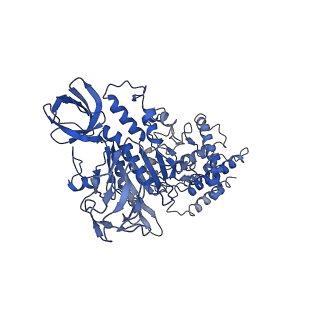 26622_7une_M_v1-1
The V1 region of bovine V-ATPase in complex with human mEAK7 (focused refinement)