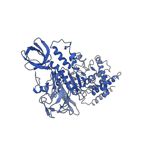 26622_7une_M_v1-2
The V1 region of bovine V-ATPase in complex with human mEAK7 (focused refinement)