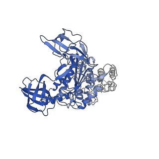 26622_7une_N_v1-1
The V1 region of bovine V-ATPase in complex with human mEAK7 (focused refinement)