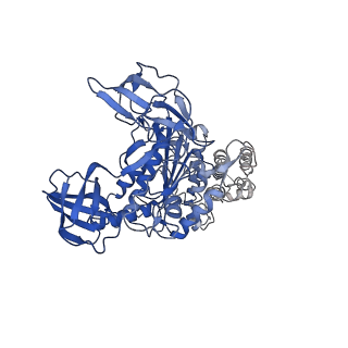 26622_7une_N_v1-2
The V1 region of bovine V-ATPase in complex with human mEAK7 (focused refinement)