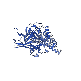 26622_7une_O_v1-1
The V1 region of bovine V-ATPase in complex with human mEAK7 (focused refinement)