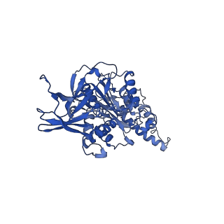 26622_7une_O_v1-2
The V1 region of bovine V-ATPase in complex with human mEAK7 (focused refinement)