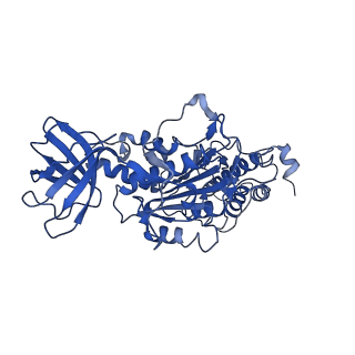 26622_7une_Q_v1-1
The V1 region of bovine V-ATPase in complex with human mEAK7 (focused refinement)