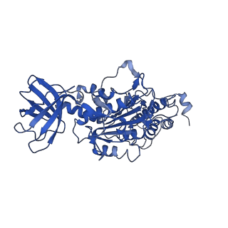 26622_7une_Q_v1-2
The V1 region of bovine V-ATPase in complex with human mEAK7 (focused refinement)