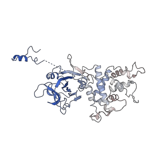 26622_7une_U_v1-1
The V1 region of bovine V-ATPase in complex with human mEAK7 (focused refinement)