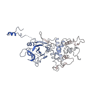 26622_7une_U_v1-2
The V1 region of bovine V-ATPase in complex with human mEAK7 (focused refinement)