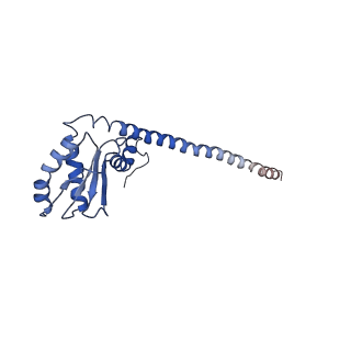 26622_7une_b_v1-2
The V1 region of bovine V-ATPase in complex with human mEAK7 (focused refinement)