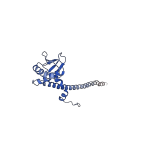 26622_7une_c_v1-1
The V1 region of bovine V-ATPase in complex with human mEAK7 (focused refinement)