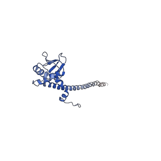 26622_7une_c_v1-2
The V1 region of bovine V-ATPase in complex with human mEAK7 (focused refinement)