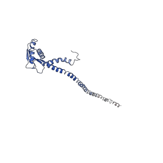 26622_7une_d_v1-2
The V1 region of bovine V-ATPase in complex with human mEAK7 (focused refinement)