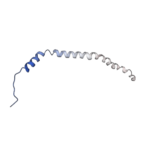 26622_7une_e_v1-2
The V1 region of bovine V-ATPase in complex with human mEAK7 (focused refinement)