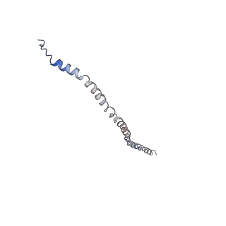 26622_7une_g_v1-2
The V1 region of bovine V-ATPase in complex with human mEAK7 (focused refinement)