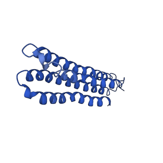 26623_7unf_5_v1-1
CryoEM structure of a mEAK7 bound human V-ATPase complex