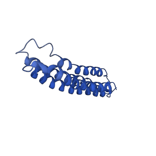 26623_7unf_7_v1-1
CryoEM structure of a mEAK7 bound human V-ATPase complex