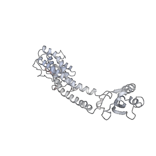 26623_7unf_C_v1-1
CryoEM structure of a mEAK7 bound human V-ATPase complex