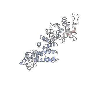 26623_7unf_H_v1-1
CryoEM structure of a mEAK7 bound human V-ATPase complex