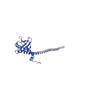 26623_7unf_c_v1-1
CryoEM structure of a mEAK7 bound human V-ATPase complex