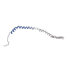 26623_7unf_e_v1-1
CryoEM structure of a mEAK7 bound human V-ATPase complex
