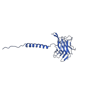 26623_7unf_s_v1-1
CryoEM structure of a mEAK7 bound human V-ATPase complex