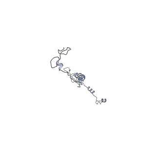 26624_7ung_8_v1-1
48-nm repeat of the human respiratory doublet microtubule
