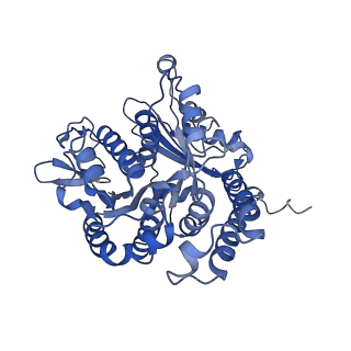 26624_7ung_AD_v1-1
48-nm repeat of the human respiratory doublet microtubule