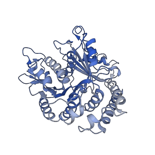 26624_7ung_AG_v1-1
48-nm repeat of the human respiratory doublet microtubule