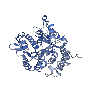 26624_7ung_AH_v1-1
48-nm repeat of the human respiratory doublet microtubule