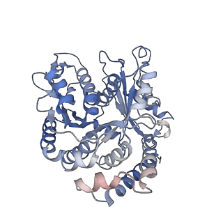 26624_7ung_BC_v1-1
48-nm repeat of the human respiratory doublet microtubule