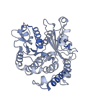 26624_7ung_BE_v1-1
48-nm repeat of the human respiratory doublet microtubule