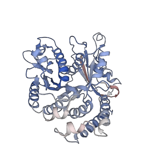 26624_7ung_BK_v1-1
48-nm repeat of the human respiratory doublet microtubule