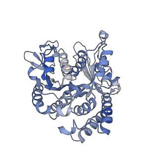 26624_7ung_BL_v1-1
48-nm repeat of the human respiratory doublet microtubule