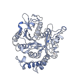 26624_7ung_CH_v1-1
48-nm repeat of the human respiratory doublet microtubule