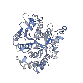 26624_7ung_CJ_v1-1
48-nm repeat of the human respiratory doublet microtubule