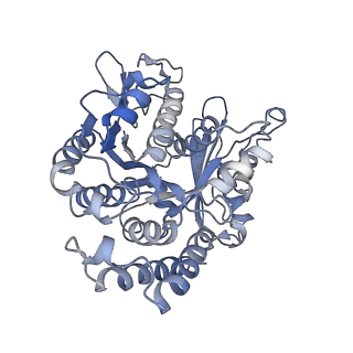 26624_7ung_CL_v1-1
48-nm repeat of the human respiratory doublet microtubule