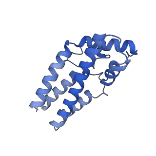 26624_7ung_F0_v1-1
48-nm repeat of the human respiratory doublet microtubule