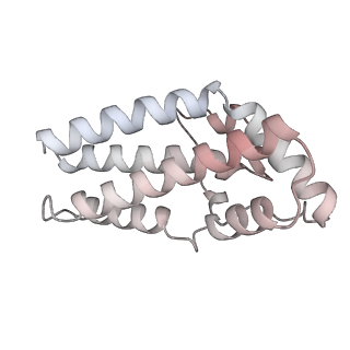 26624_7ung_F2_v1-1
48-nm repeat of the human respiratory doublet microtubule